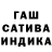 ГАШ гарик GNJ TS