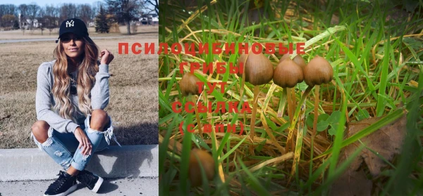 прущие крисы Аркадак