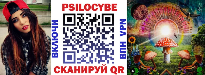 купить  сайты  Кирово-Чепецк  Псилоцибиновые грибы Psilocybe 